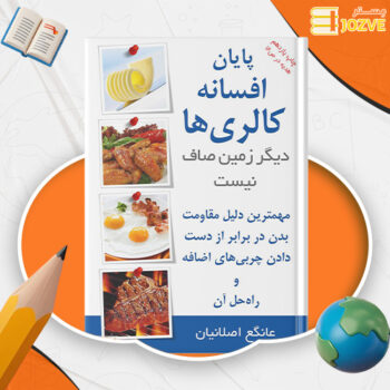 دانلود پی دی اف کتاب پایان افسانه کالری ها عانگع اصلانیان PDF